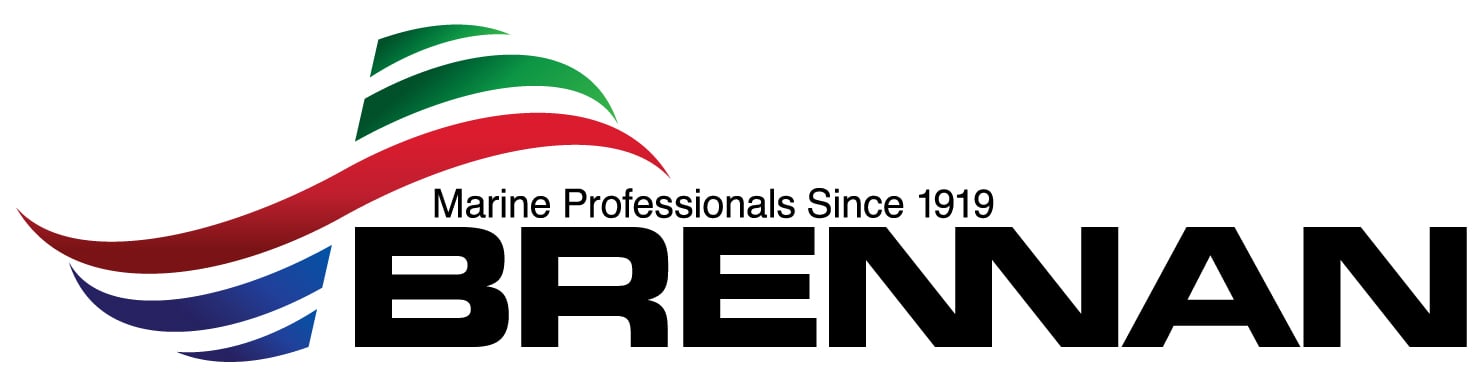 Nelosca Logo 